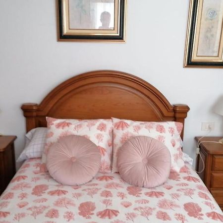 비야누에바 데 아로사 Apartamento La Basella 아파트 외부 사진